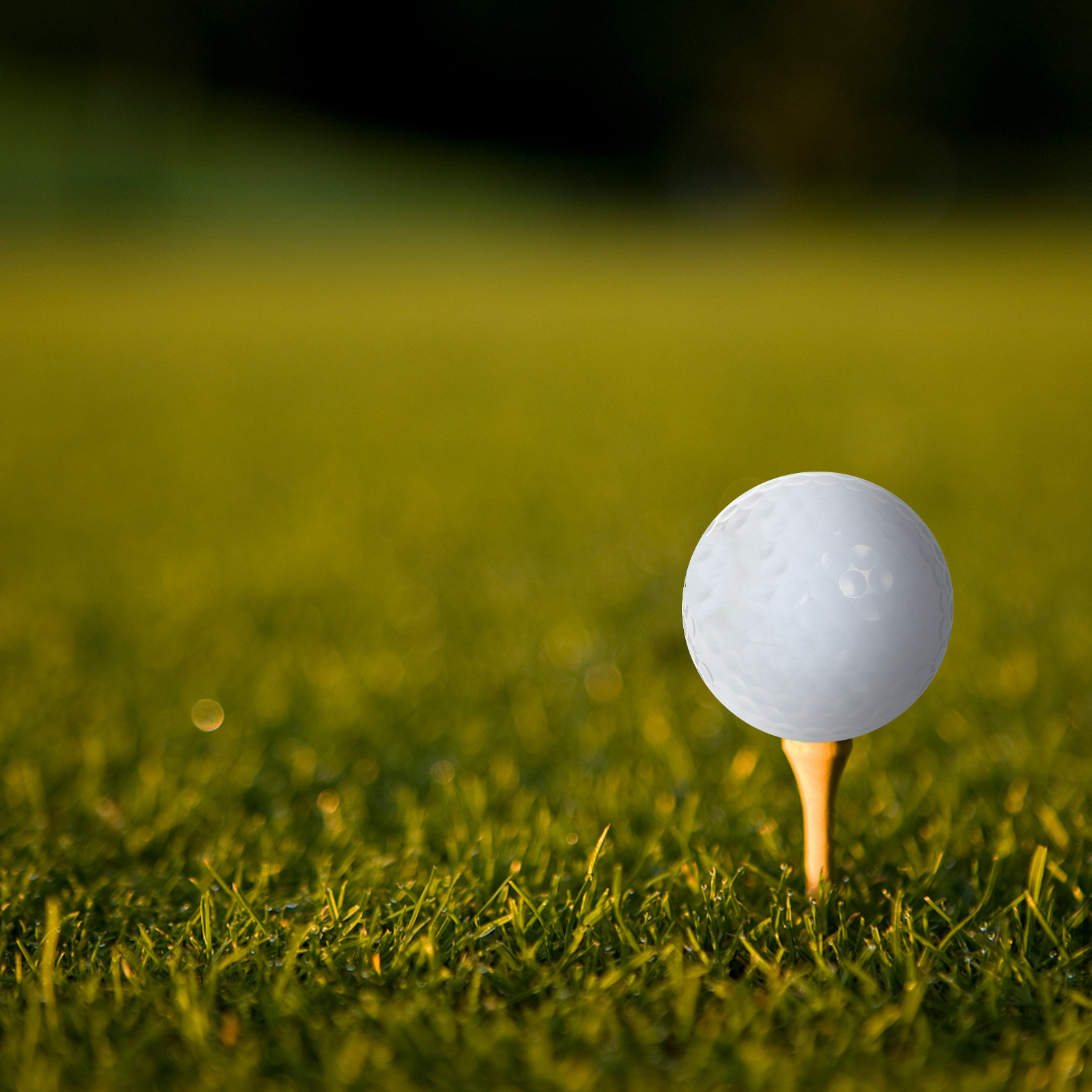 Golf Equipment Beginners - Indoor Practice Golf Balls Equipment Long